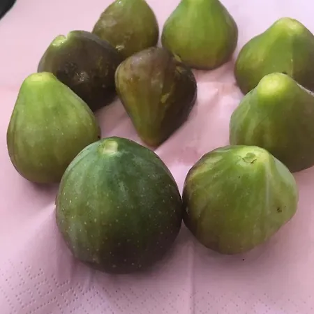 Atelier Le Camp Lejlighed Kamp-Lintfort