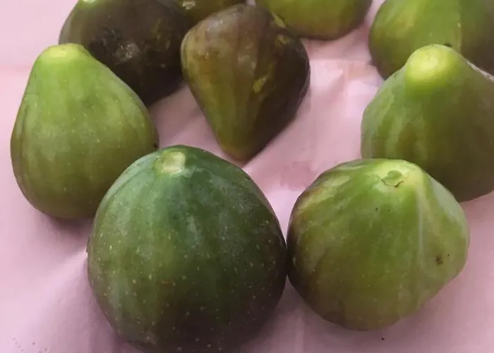 Atelier Le Camp Appartement Kamp-Lintfort