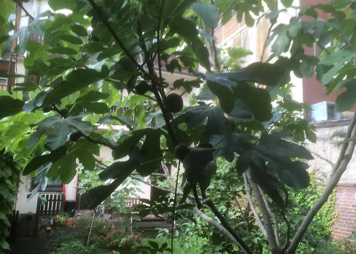 Apartmán Atelier Le Camp *